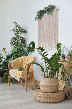 Wicker chair with a plaid in a cozy boho-style interior