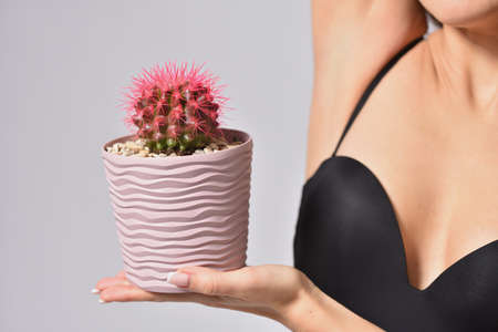 Woman holding prickly cactus under armpit, intimate depilation and hygiene conceptの写真素材