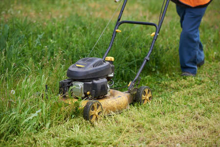 Petrol lawn mower cuts overgrown grassの写真素材