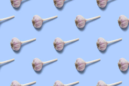 Seamless pattern of garlic bulb on a blue backgroundの写真素材