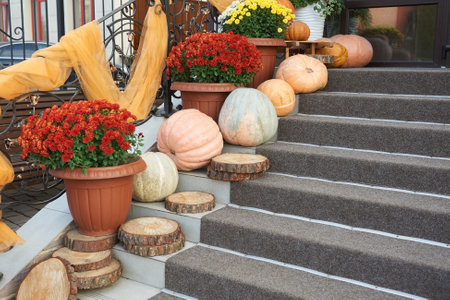 Decorating the steps with pumpkins in the fall seasonの写真素材