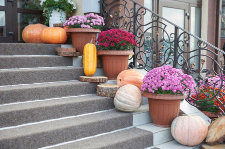 Steps decorated with pumpkins for autumn themeの写真素材