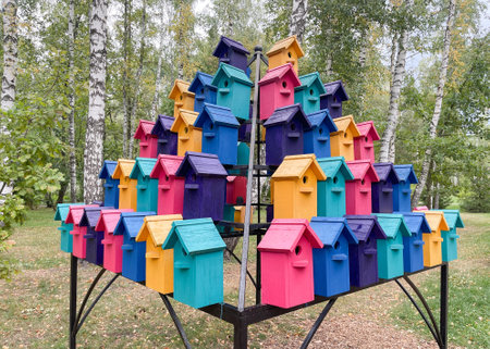 Lots of colorful birdhouse in the woods for the birdsの写真素材