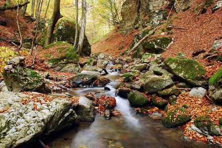 Autumn Sceneの写真素材