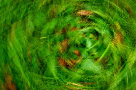 Green Grass Compositionの写真素材