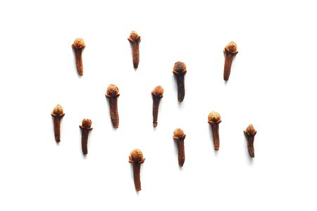 cloves isolatedの写真素材