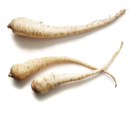 parsley roots isolatedの写真素材