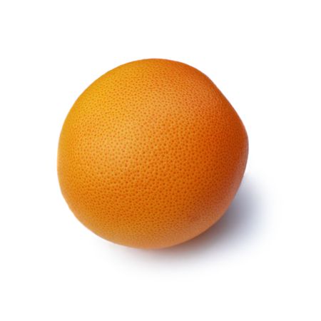grapefruit isolatedの写真素材