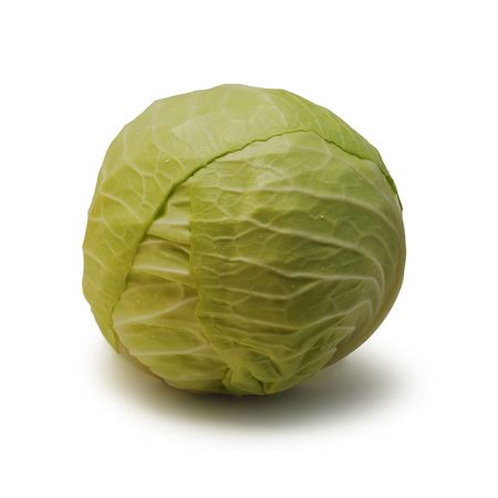 cabbage isolatedの写真素材