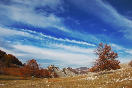 autumn landscapeの写真素材