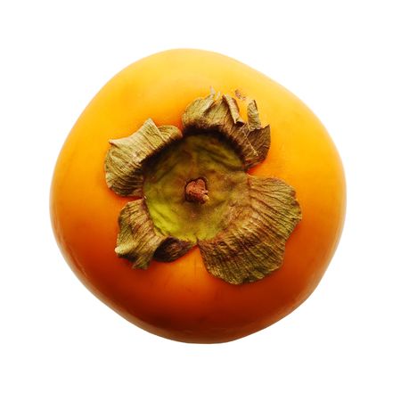 kaki / persimmonの写真素材