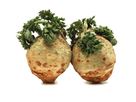 celery rootsの写真素材