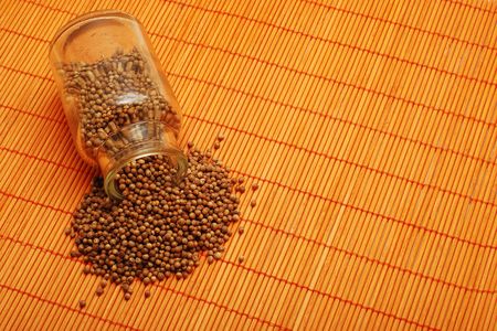 pepper cornsの写真素材