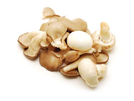 mushrooms isolatedの写真素材