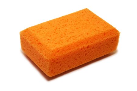 spongeの写真素材