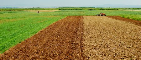 field workの写真素材
