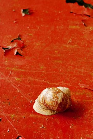 snail over redの写真素材