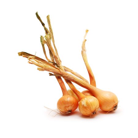 onionの写真素材