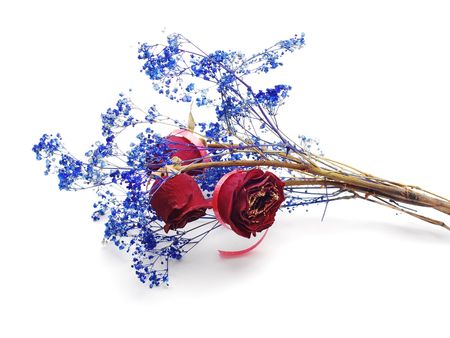 dried flowersの写真素材
