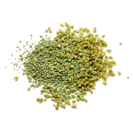 hemp budsの写真素材