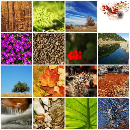 nature / autumn collageの写真素材