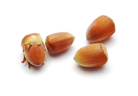 hazelnutsの写真素材