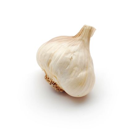 garlicの写真素材