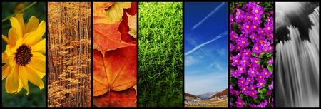 nature montageの写真素材