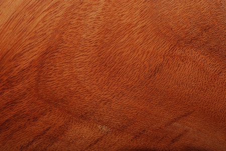 wood textureの写真素材