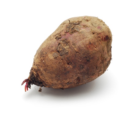 beetの写真素材