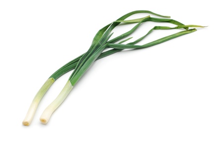spring onionの写真素材
