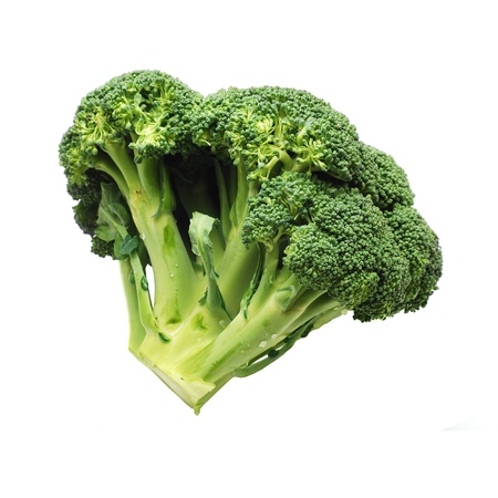 broccoliの写真素材