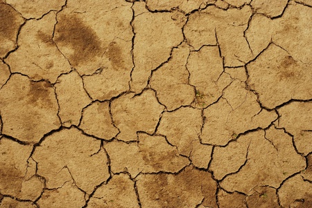 dried soil