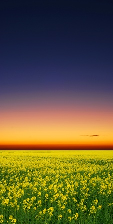 sunriseの写真素材