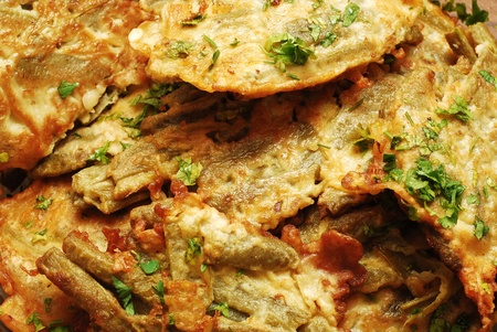 vegetarian schnitzels の写真素材