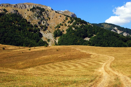  landscape の写真素材