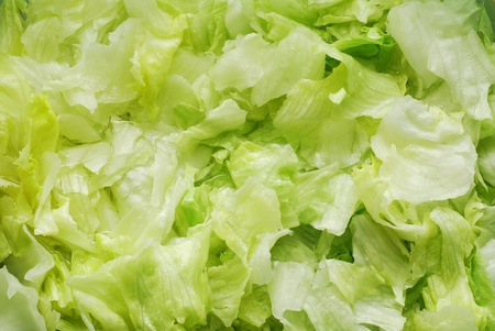 lettuce の写真素材
