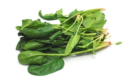 spinach  の写真素材
