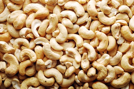   cashew  の写真素材