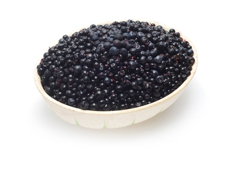 blueberryの写真素材