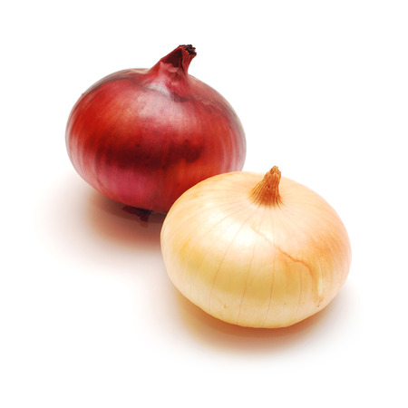 onion の写真素材