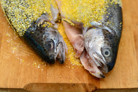   trout fishの写真素材