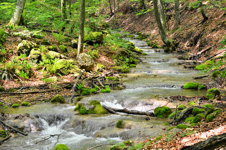  creek  の写真素材