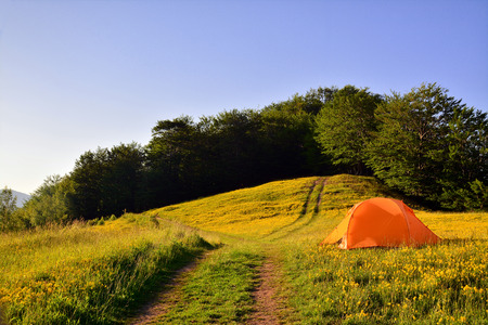 camping tent の写真素材