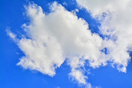 white cloud  