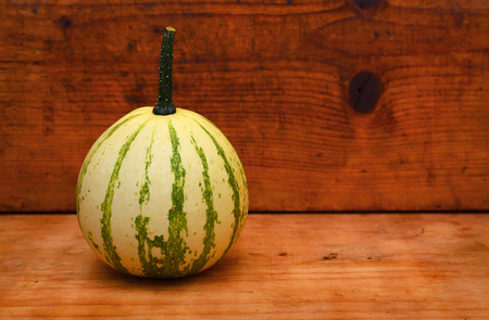 pumpkinの写真素材