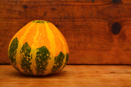 pumpkinの写真素材