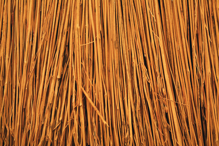 broom close up