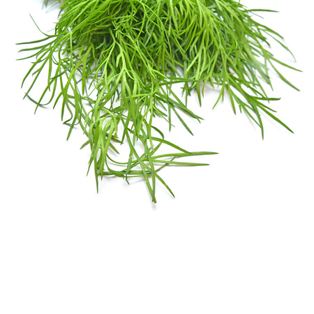 dill