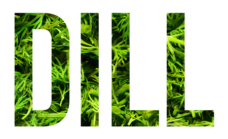 dill leaves background, text banner sampleの写真素材